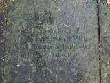 image of grave number 89565